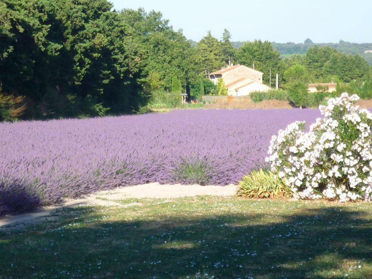 L'Atelier Des Coudelieres Bed & Breakfast Le Thor Exterior photo